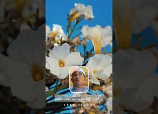 يوم الجمعة انا الله وملائكته يصلون على النبي يصوت محمود الشحات انور