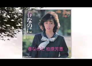 柏原芳恵 春なのに 歌詞