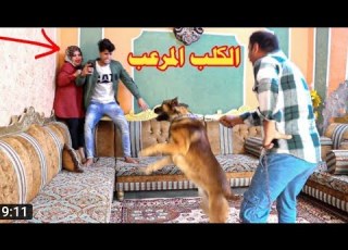 اقوئ مقلب سويته بهمسه خليته تبجي وتكم كرار الثائر