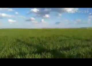  خيرات بلادي