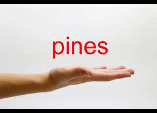  How To Pronounce Pines American English