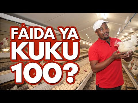Bajeti Na Faida Ya Kufuga Kuku Wa Nyama Chotara 100 Mwaka 2026