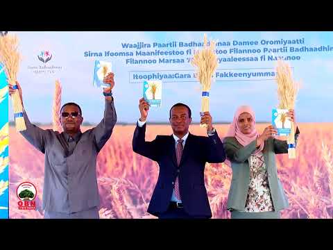 Mallattoofi Maanifeestoo Filannoo Waliigalaa Marsaa 7ffaa Paartii Badhaadhinaa Ifoome