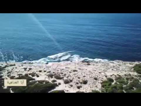 لابكين على نفسي ابو العتاهية