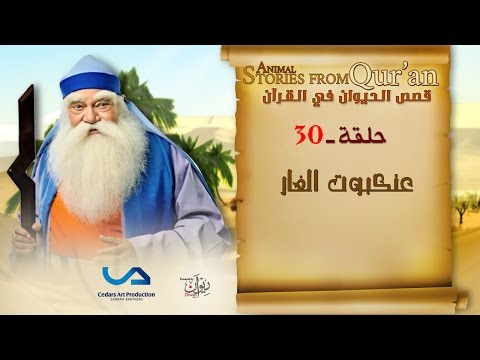قصص الحيوان في القرآن الحلقة 30 عنكبوت الغار Animal Stories From Qur An