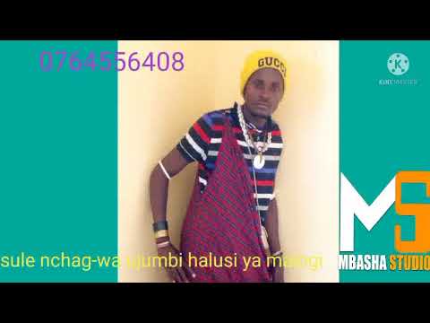 Sule Nchag Wa Ujumbe Wa Halusi Ya Malogi