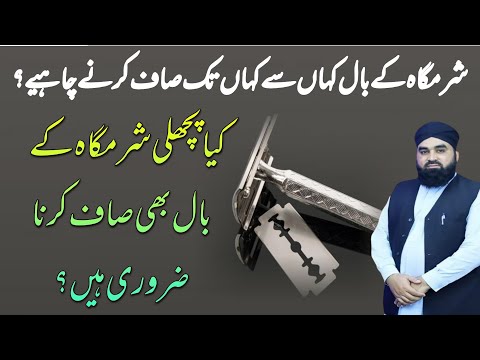 Where Should I Clean My Pubic Hair From And To Is It Necessary To Clean My Pubic Hair Too Where Should I Clean My Pubic Hair From And To Is It Necessary To Clean My Pubic Hair Too