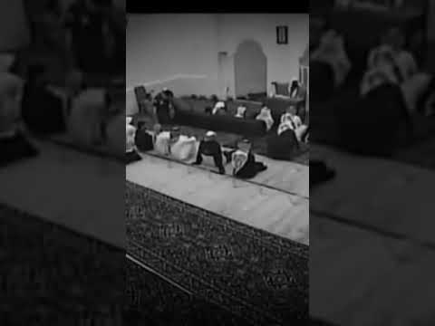 يا حليمه اليوم لقد اخذتي نسمة مباركة النبي محمد صلى الله عليه وسلم الشيخ بدر المشاري المفسرون