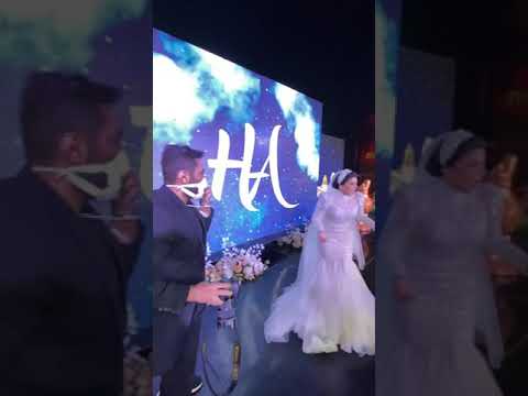تامر حسني يفاجئ اية مكرم في حضور حفل زفافها تامر حسني يفاجئ اية مكرم في حضور حفل زفافها