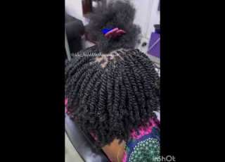 NATURAL HAIR TWIST STYLES TWIST HAIRSTYLE FOR NATURAL MINI TWISTS Braids Hairstyle Twist