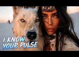  AFTER THE NAMES I KNOW YOUR PULSE Kathy Csaszar Official Music Video