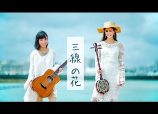 三線の花 BEGIN Cover By いーどぅし