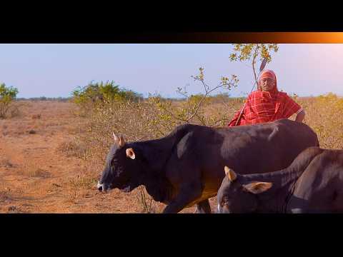 LKERETI KING LAISO OFFICIAL 4K VIDEO