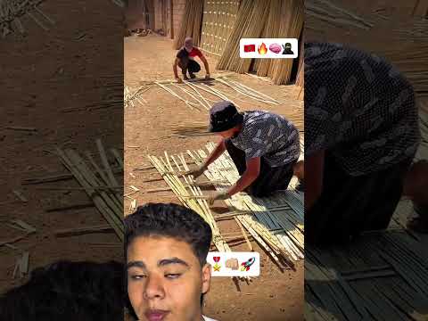 إكتشفو فكرة مشروع القصب ومربح عمل قصب قصبة مشروع مشروع مربح فكرتي