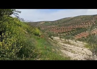  ربيع من قلب عروسة كوردستان من عفرين Bihara Efrin Dila Kurdistan