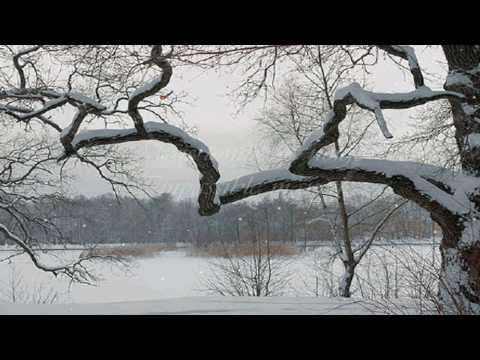 Tombe La Neige Salvatore Adamo With Lyrics