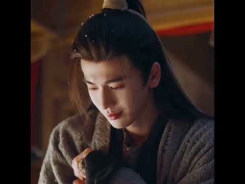 لأنك وسيم البحث عن اليشم Pursuit Of Jade Shorts Love Cdrama