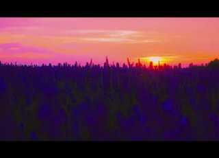  VXLLAIN IGRES ENXK Crystal Skies Piano Version