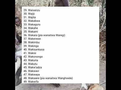 HAYA NDIYO MAKABILA 125 YANAYOPATIKANA NCHINI TANZANIA MENGINE YATAKUSHANGAZAA HUJAWAHI YASIKIA