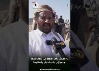  محمد طعيمان القبائل تعلن العودة إلى بلادها سلما أو حربا إلى جانب الجيش والمقاومة
