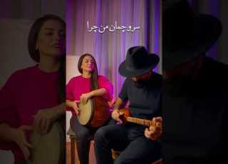  سرو چمان محمدرضا شجریان همنوازی سه تار و تمبک اجرای زنده موسیقی ایرانی