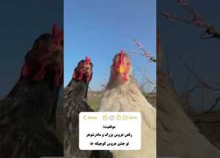  خونین عروس و مادرشوهر کلیپ طنز بامزه Funny Lifeisbutadream Comedy طنز
