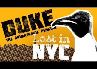  Animatronic Penguin Gets Lost In NYC