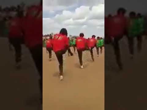 Umnaa Bilisummaa Oromoo Wbo Shortsvideo