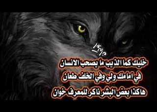  اجمل حلات وتس اب حسب الطلب يا ذيب خليك حذر من الاعداء