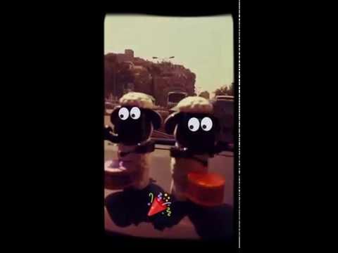 مش هروح مش هتيجي مهرجان السادات