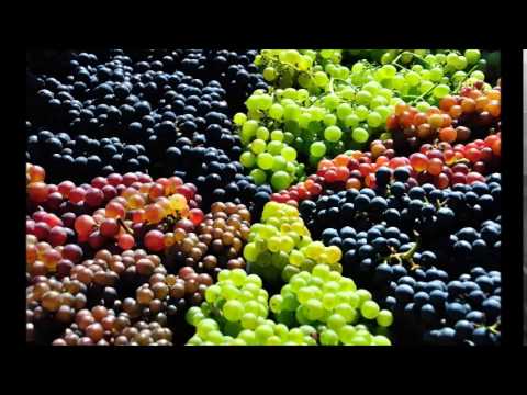 معلومات عن العنب للاطفال