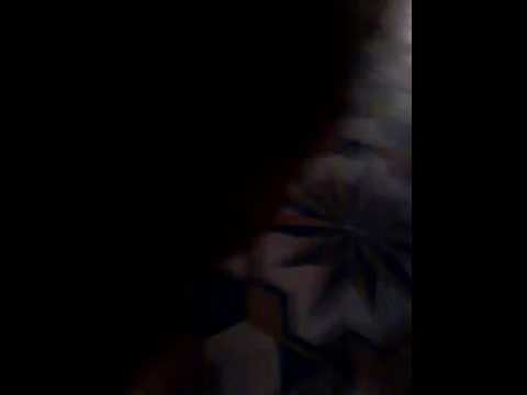 حماة الاحلام