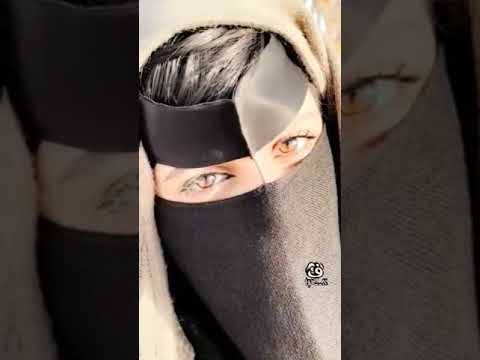 سعيد ابو معيتق من يقول ان الشمس ماتطلع شمال