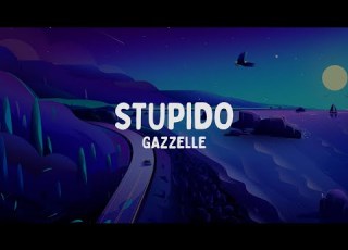 Gazzelle Stupido Testo Lyrics