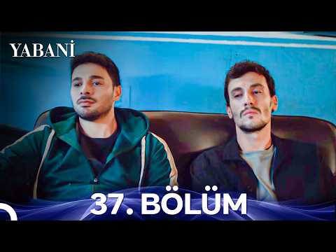 Yabani 37 Bölüm