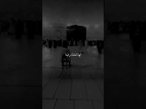 ايها المختار فينا