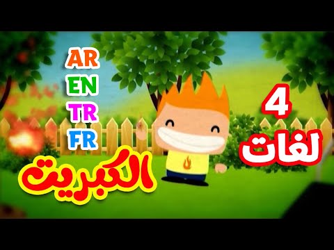 الكبريت باللغات الأربع العربية الإنجليزية التركية الفرنسية طيور بيبي Toyor Baby