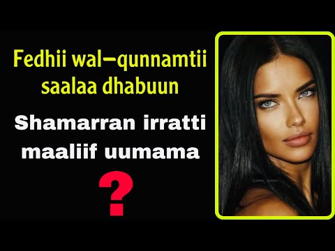 Fedhii Wal Qunnamtii Saalaa Dhabuun Shamarran Irratti Maaliif Uumama Dr Obsa
