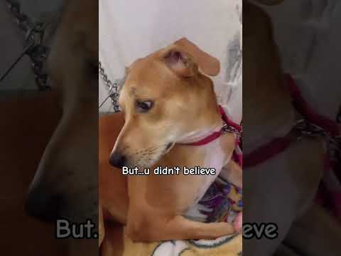 Lilla Why Funny Nothingtosay Byeeeeeee