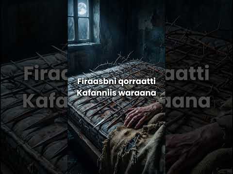 RAFUUN HIIKA QABAA Walaloo Afaan Oromo Gabaabaa 2026