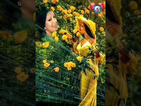 نجاة الصغيره عجيبه يا دنيا عجيبه