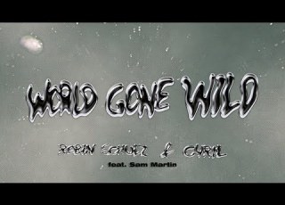 Robin Schulz X CYRIL World Gone Wild Feat Sam Martin Official Lyric Video