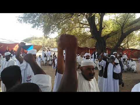 تكريم البوادره لـ ابناء ابوحوه ابناء قبيلة العركيين بالرميله 30 3 2019