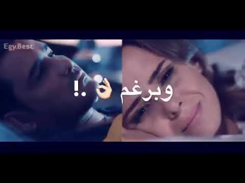 حالات واتس 2021 حمو الطيخا مهرجان لسه منزلش حبيتك حب ملوش تفسير حمو الطيخا