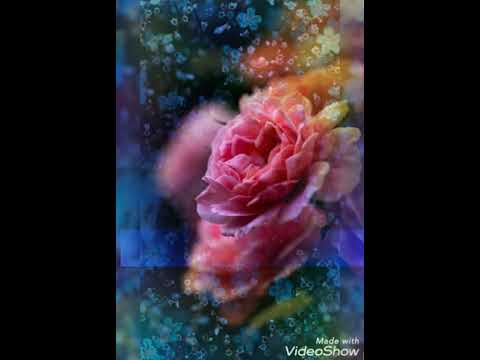 هي جنة طابت وطاب نعيمها