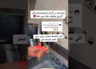  وصفة كف مريم الانجاب بثوام بإدن الله