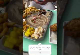 اسكندريه المحروسه