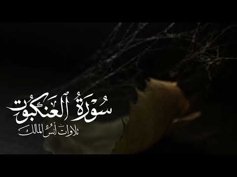 تلاوة سورة العنكبوت للقارئ أنس المالك من ليالي رمضان ١٤٤٤