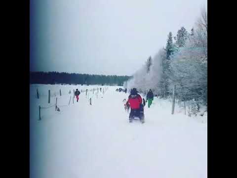 Laponya Lapland Gezisi