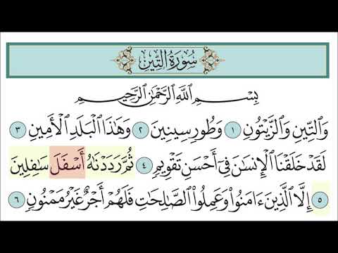 سورة التين للأطفال مع تتبع الكلمات المصحف المعلم لخليفة الطنيجي Surah At Tin سورة التين للأطفال مع تتبع الكلمات المصحف المعلم لخليفة الطنيجي Surah At Tin